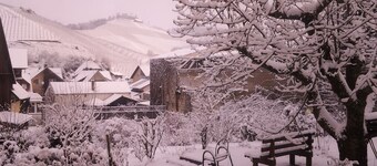 Apartment - quiet and central in the golden wine village of Durbach -