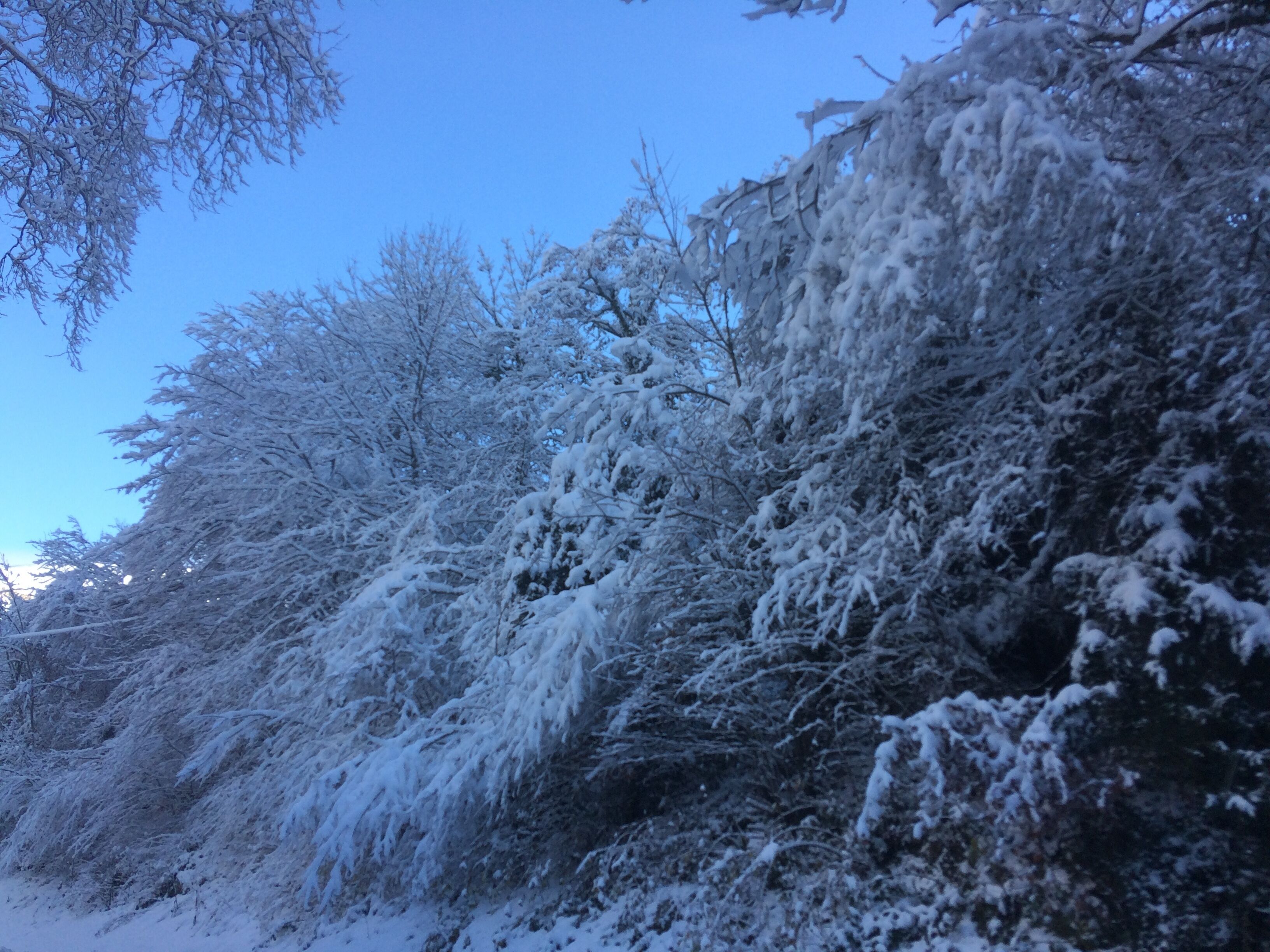 Snø- og skisport