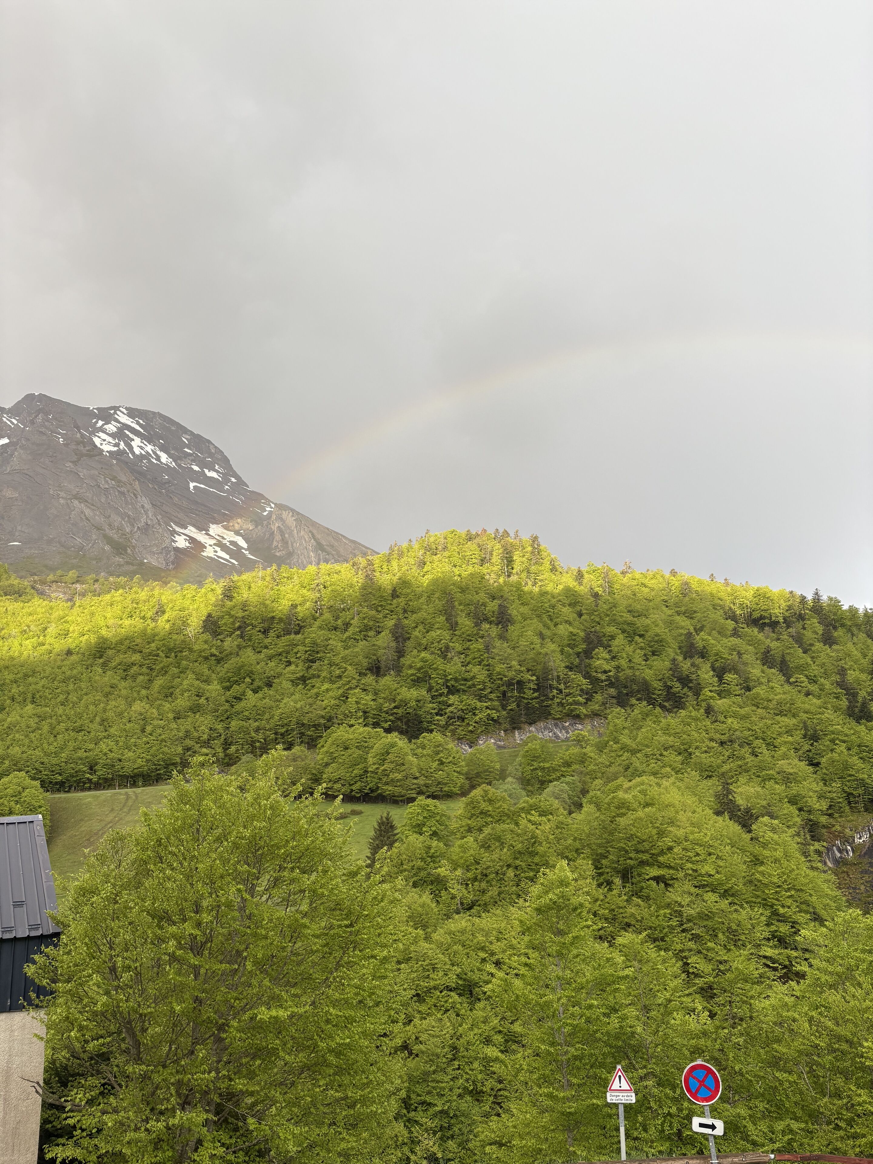 Ein üppiger, grüner Hang mit einem Berg im Hintergrund und einem Regenbogen.