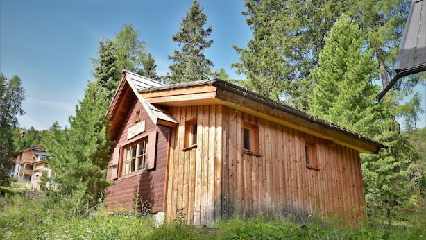 Eine Holzhütte, umgeben von dichtem Wald, mit blauem Himmel.