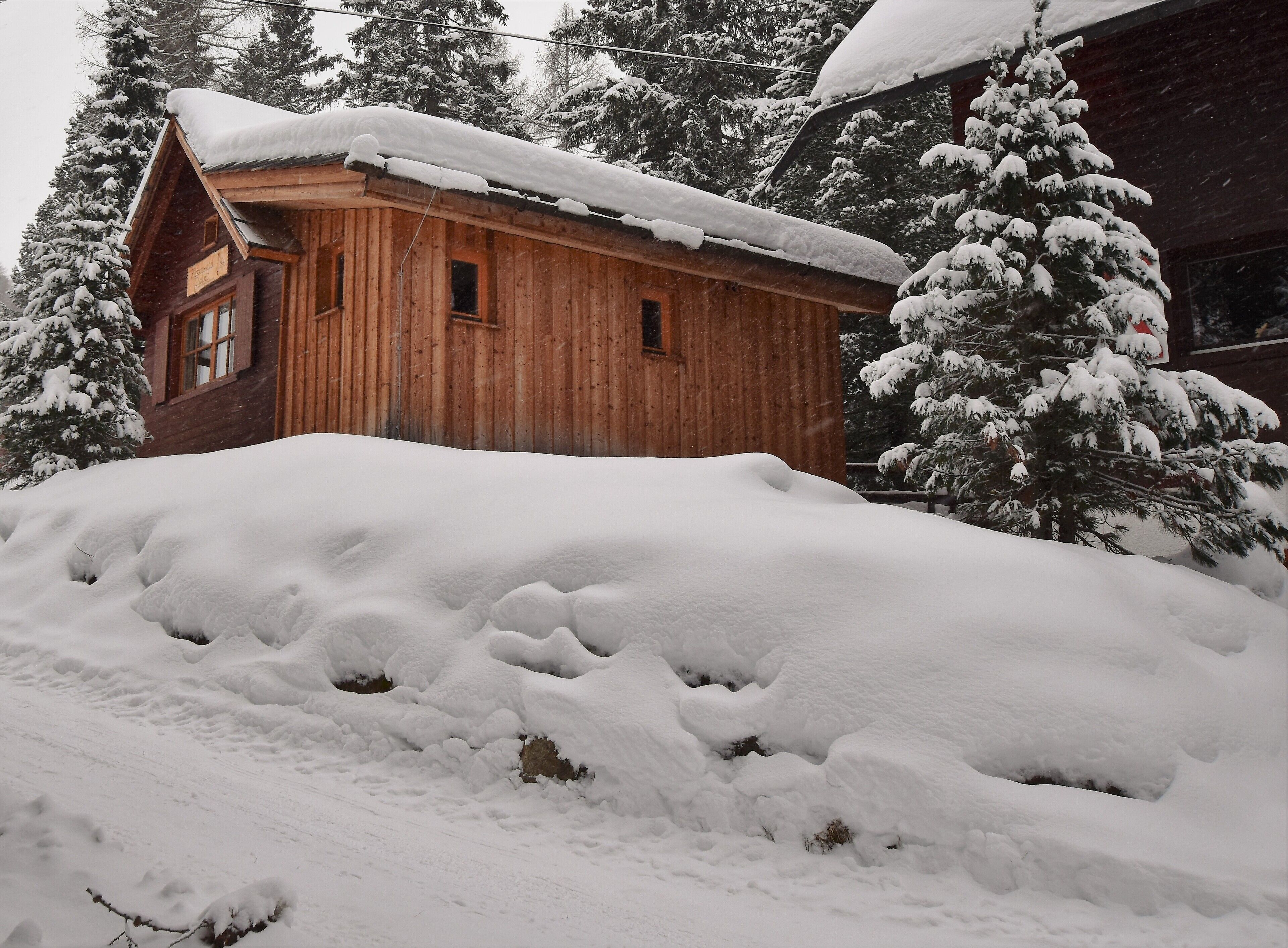 A wooden cabin with a snow-covered roof and surrounding trees.