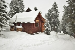 Exterior - Quaint chalet at 1700m with infra-red sauna, directly in the ski and hiking region! (Turracherhöhe)