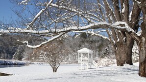 Ein Wintergarten in einem verschneiten Park mit kahlen Bäumen und blauem Himmel.