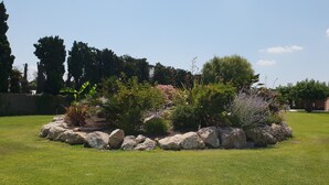 A landscaped garden with a variety of plants and a central rock feature. - Charming apartment in Provence (Châteaurenard)