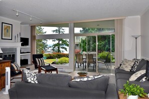 Smart TV, fireplace, DVD player, books