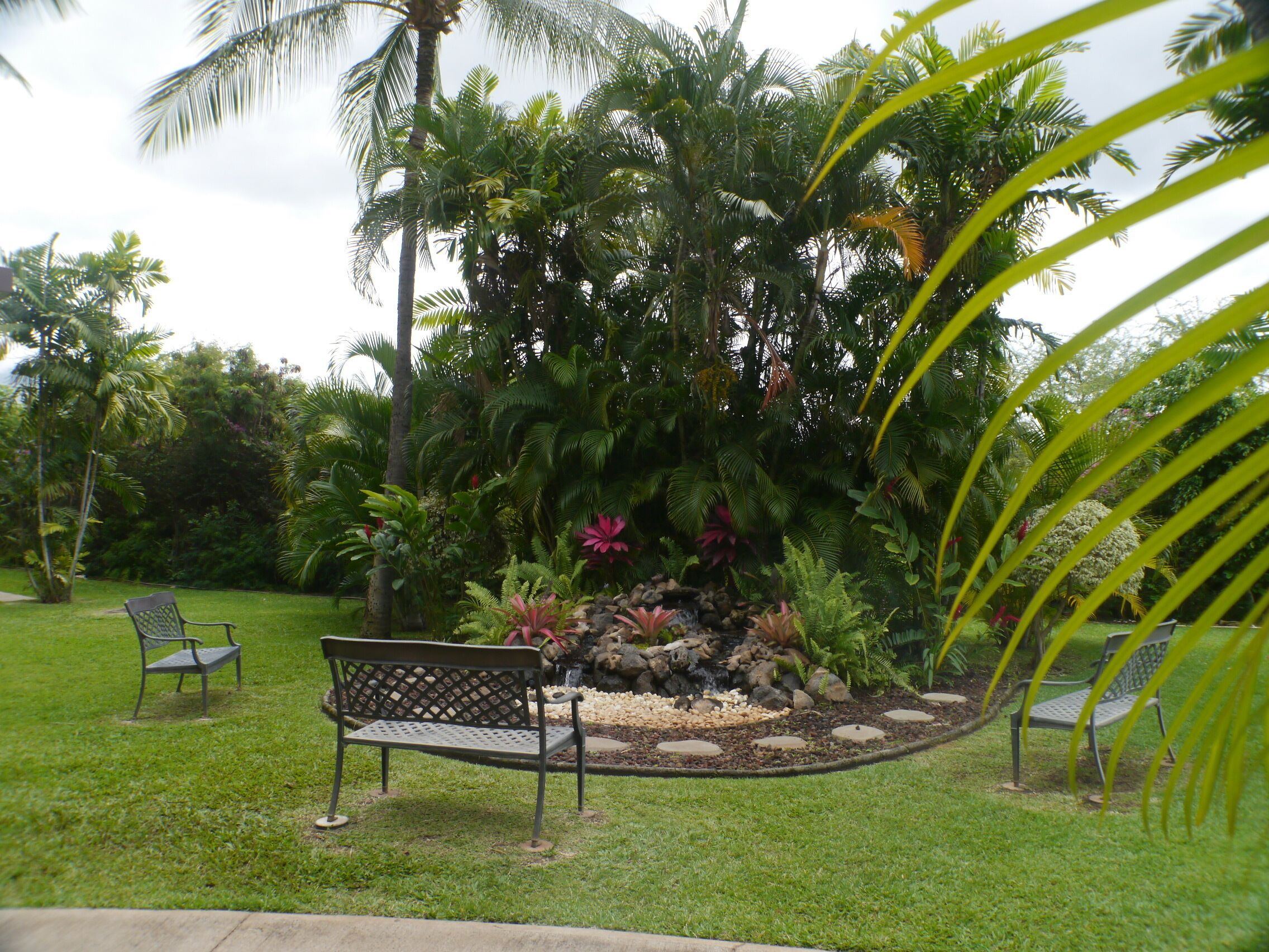 Un jardin agrémenté d’un banc, de palmiers et de diverses plantes tropicales.