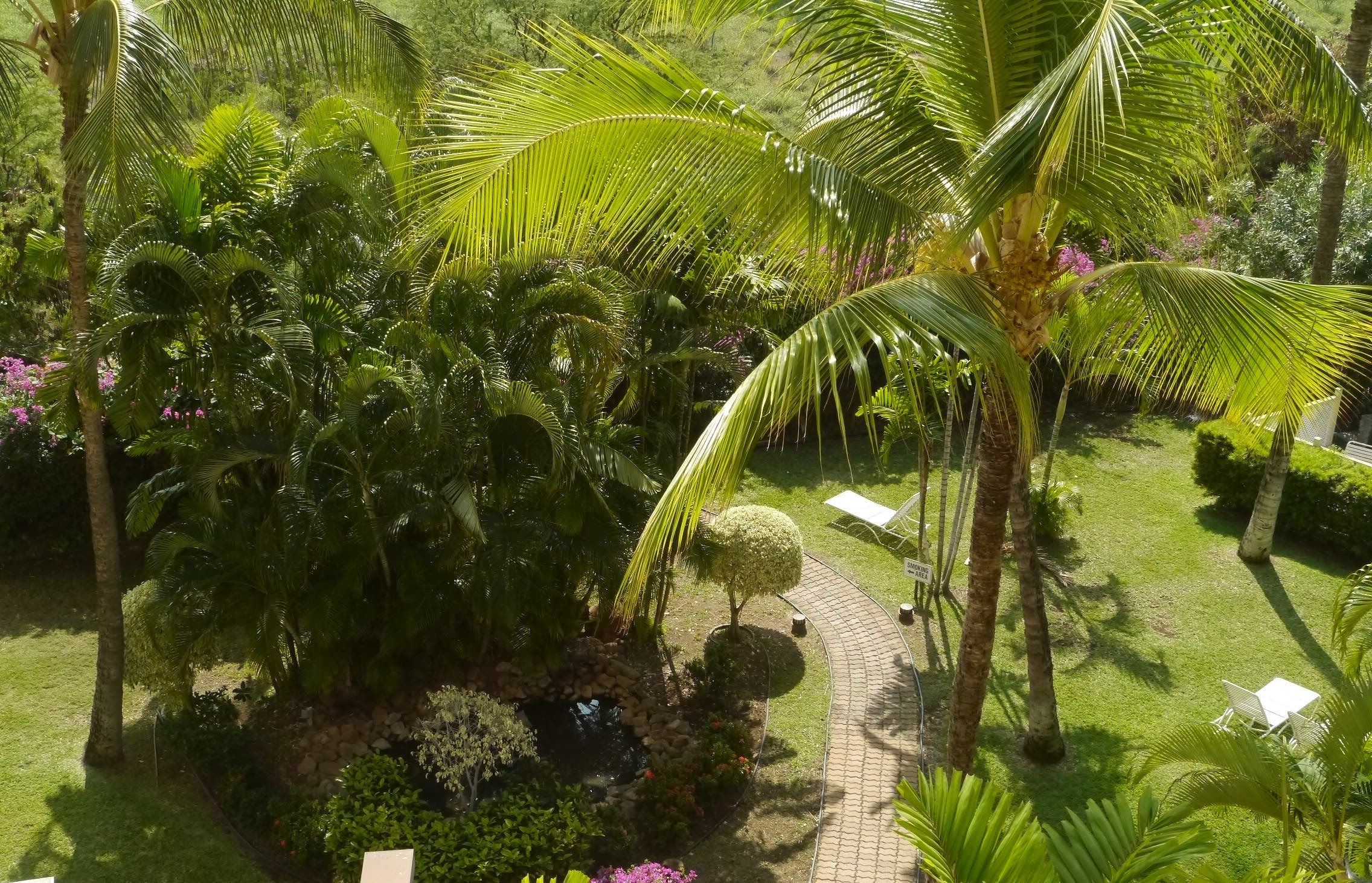 Um jardim tropical com palmeiras, um caminho e uma placa indicando área privativa.
