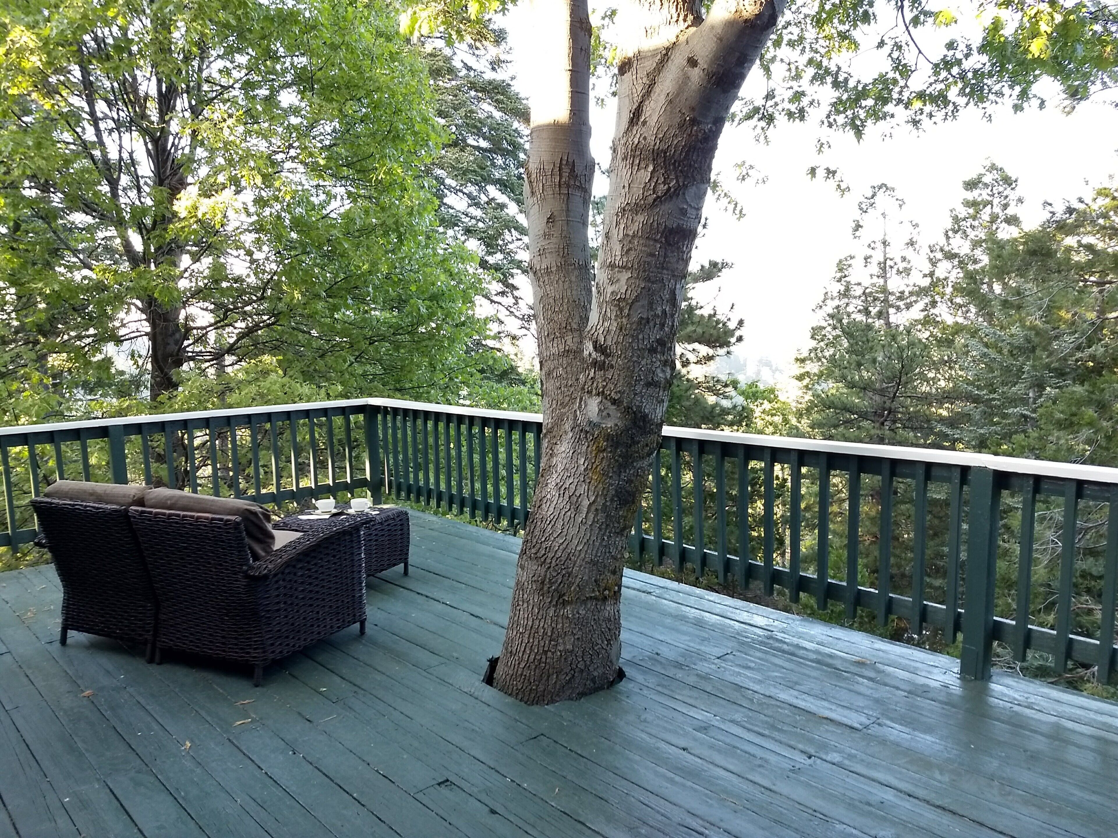 Top 10 Cheap Cabin Rentals Near Wrightwood, California Updated 2024 Trip101