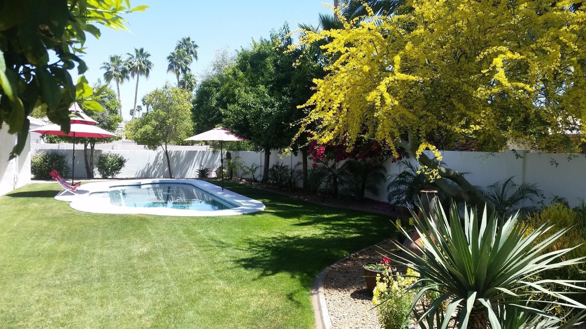 Resort home in the heart of Scottsdale. Jump in the waters fine.