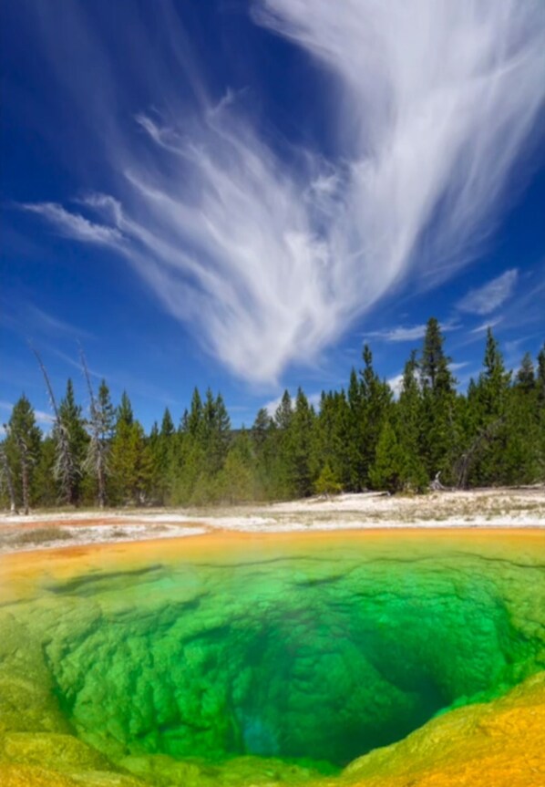 Beach - Awesome 1bdrm Apt with incredible Mountain & River Views (see enclosed pics)!! (Livingston)