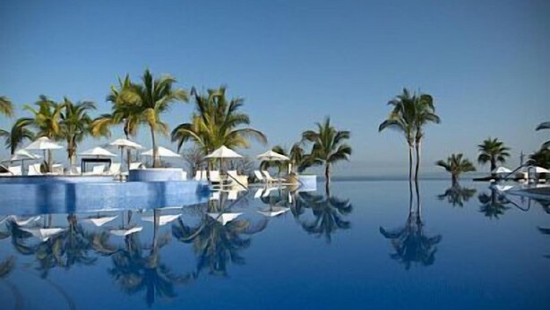 A infinity pool with lounge chairs and umbrellas, surrounded by palm trees and a clear sky.