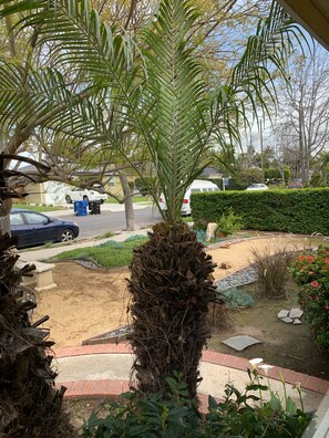 South view from the room's window. - Near Beach-LAX.Bike-Path.Detached-ROOM-with Bathroom. Quiet-Non-Smoker-30Days+ (Culver City)