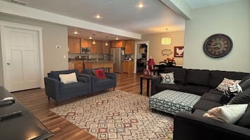 TV, video games, DVD player, video library
