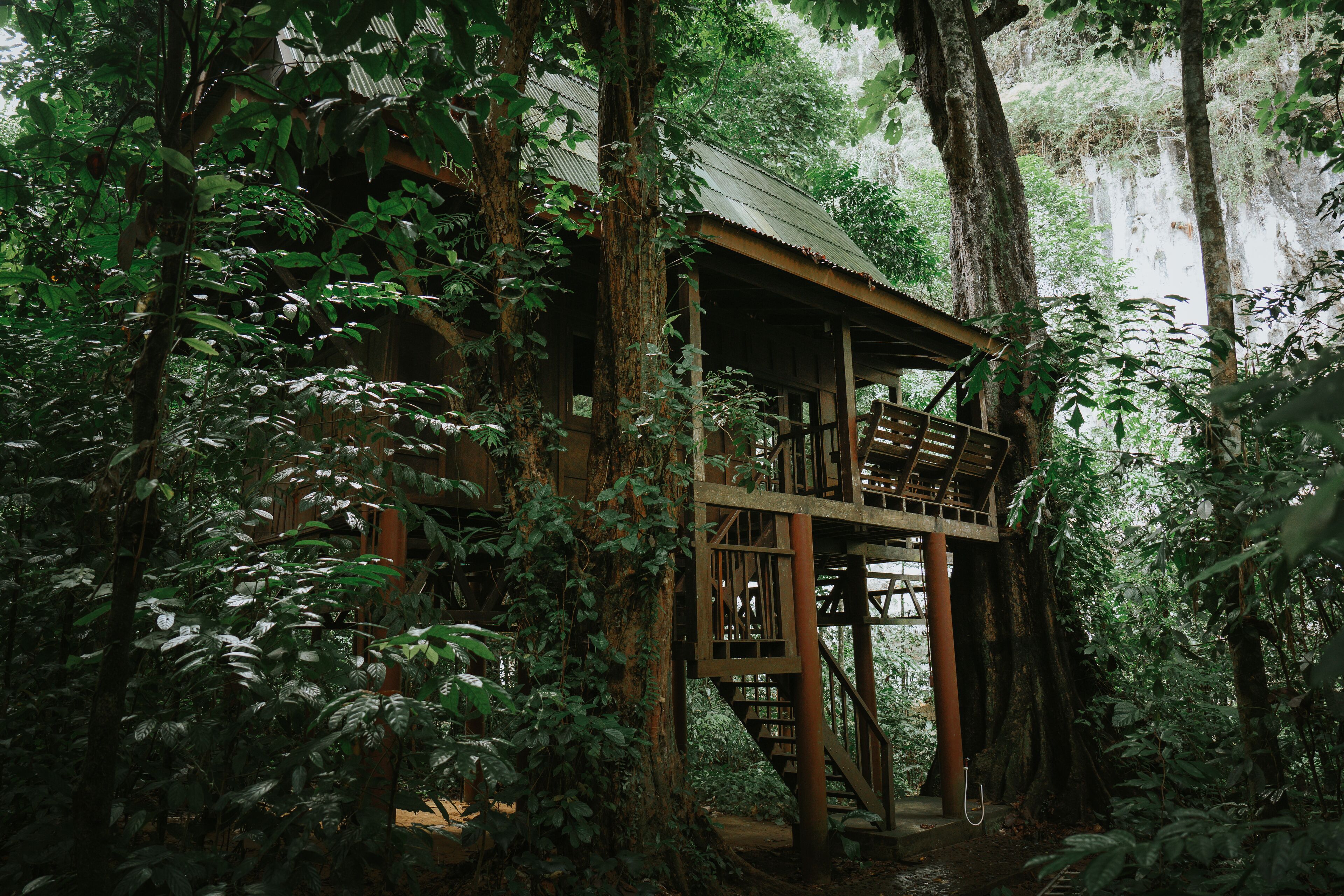 A wooden treehouse with a metal roof, surrounded by dense forest.