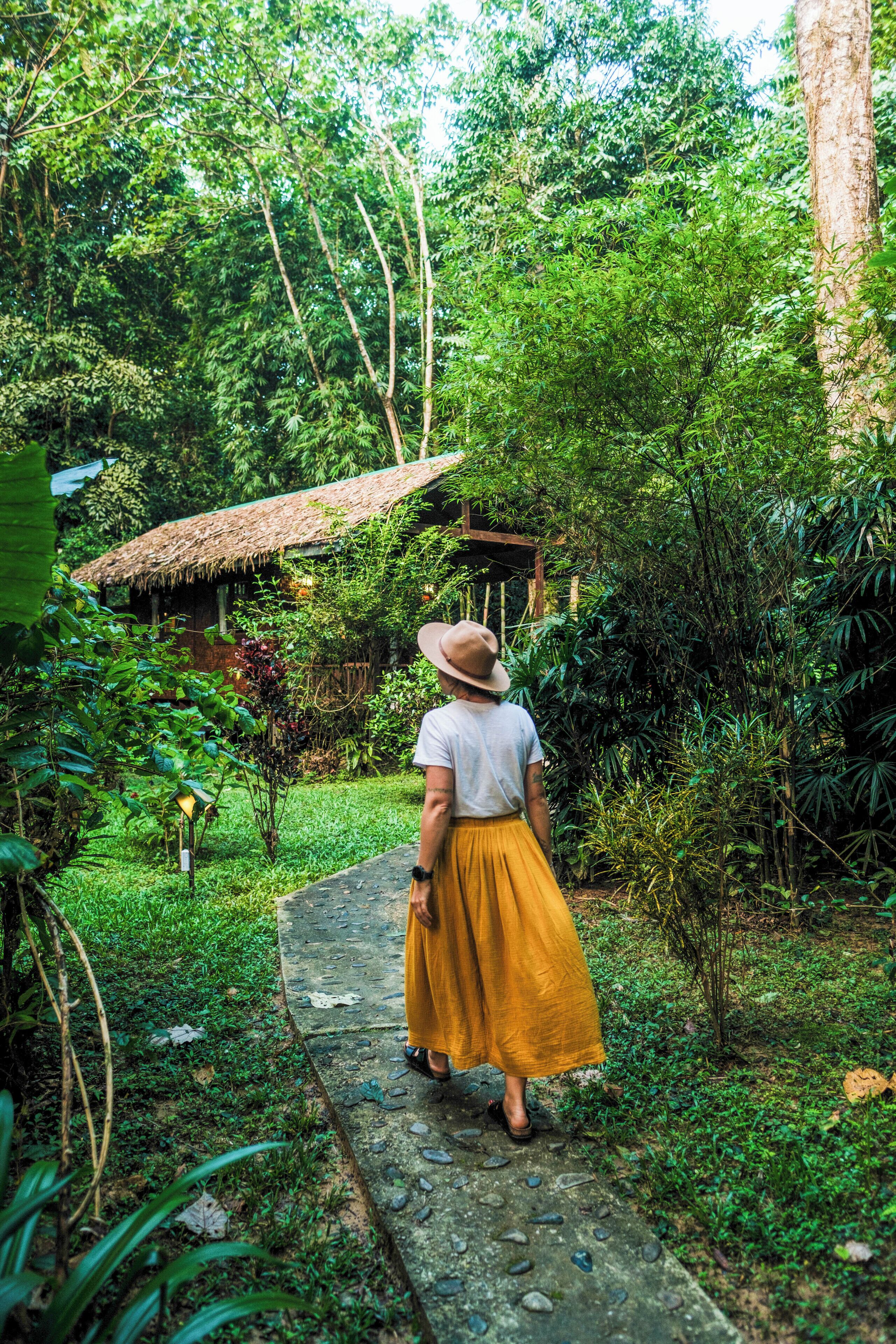 Vista al jardín