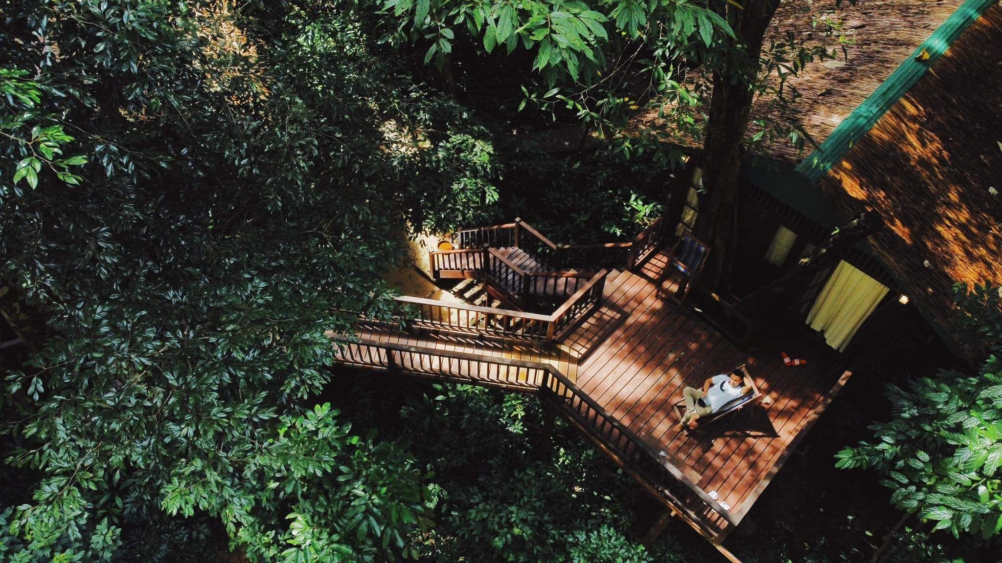 treehouse double | view from room