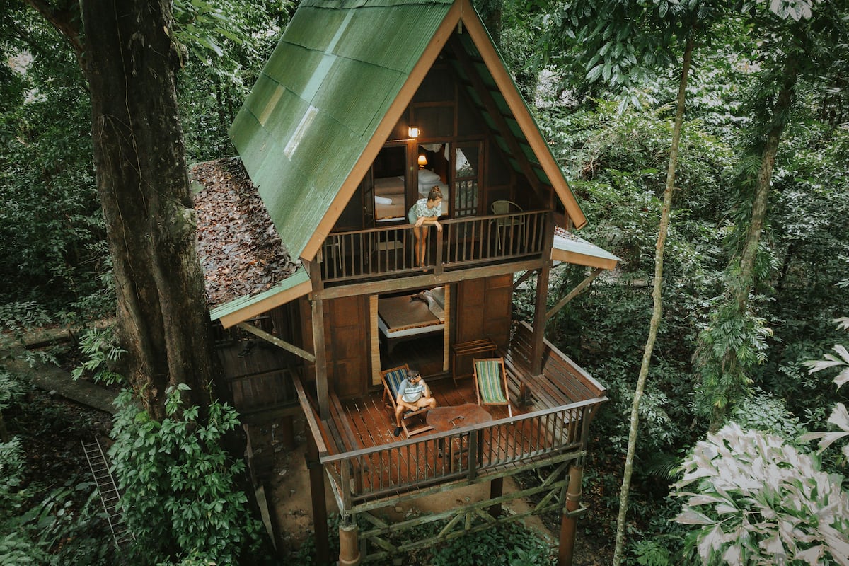 Our Jungle House Reviews, Deals & Photos 2023 - Expedia.co.in