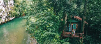 Our Jungle House