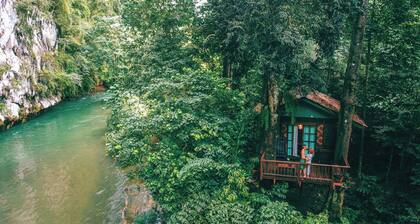 Our Jungle House