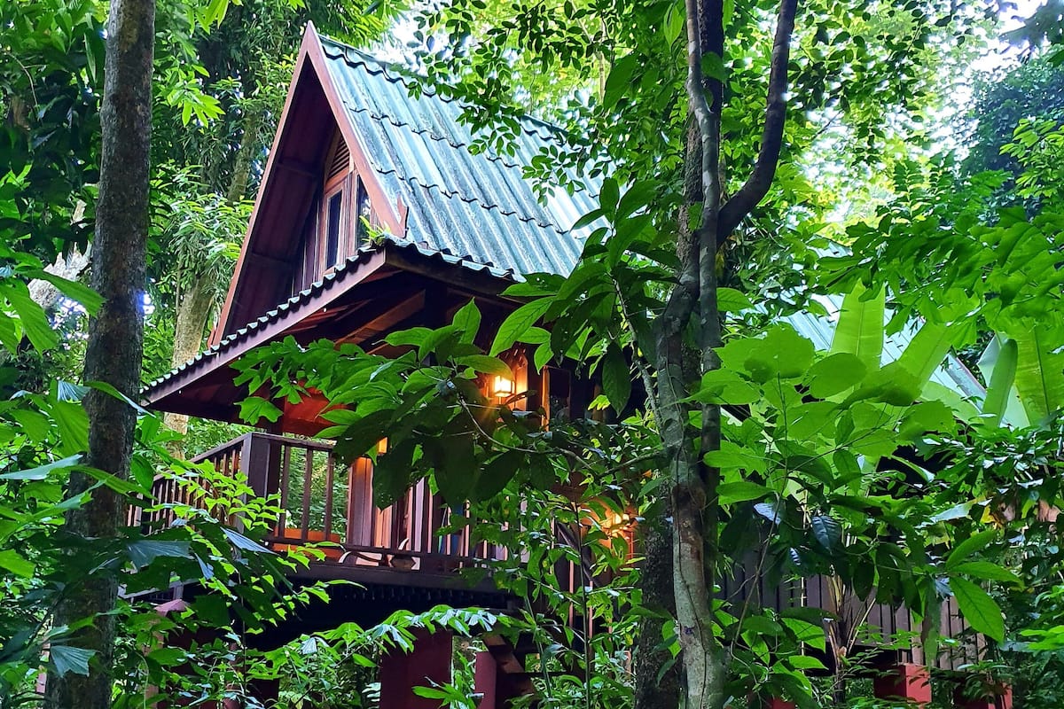 Treehouse Quad | Garden view