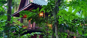 Our Jungle House