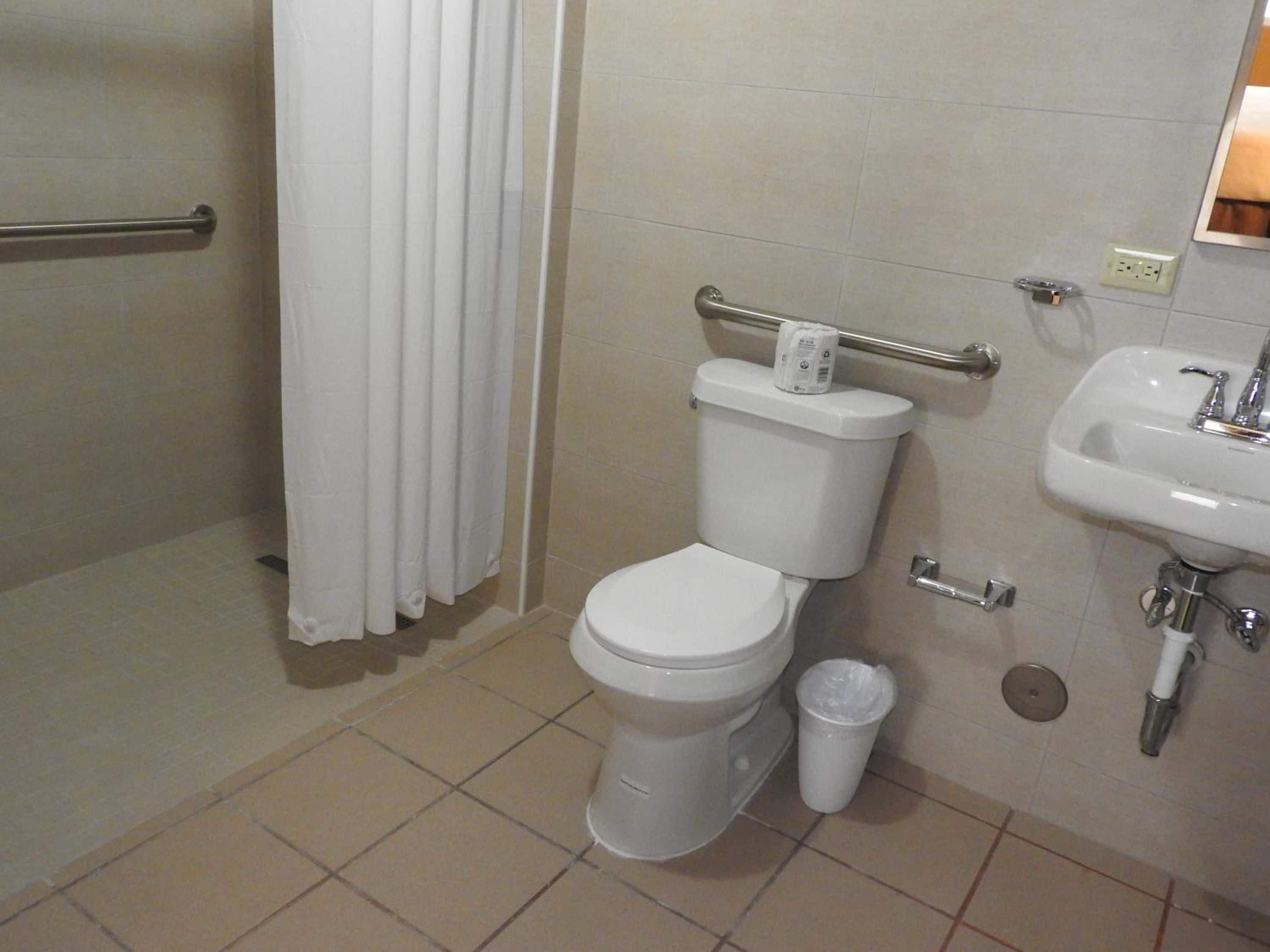 A bathroom with a toilet, a sink, and a shower area.