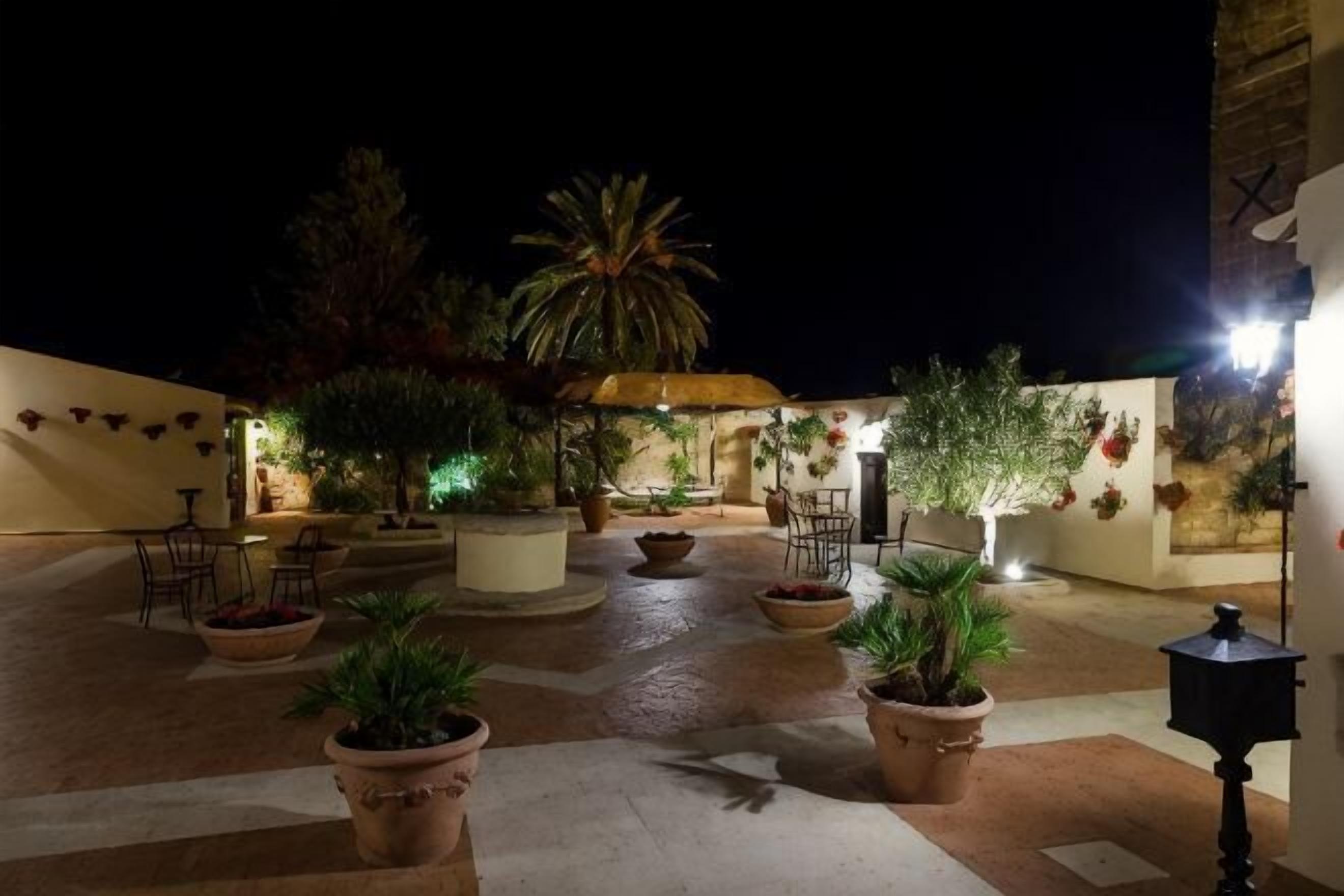 An outdoor courtyard with potted plants, a palm tree, and a tiled floor.
