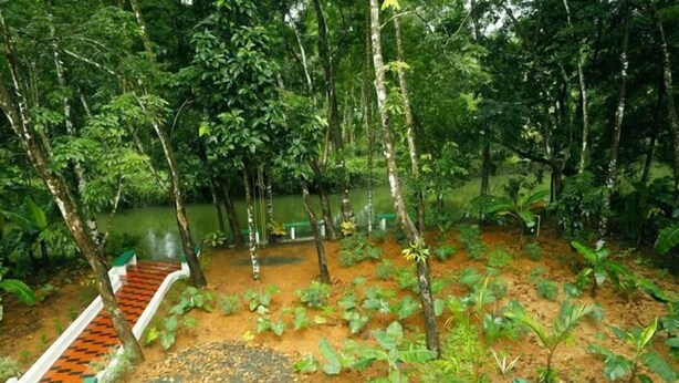 A forested area with a dirt path, a small bridge, and a pond. - Kuttickattil Gardens Home Stay (Kottayam)