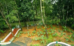 A forested area with a dirt path, a small bridge, and a pond. - Kuttickattil Gardens Home Stay (Kottayam)