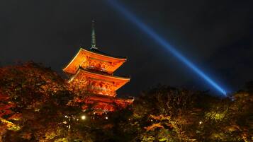 A multi-tiered pagoda illuminated at night with a beam of light shining through the trees.