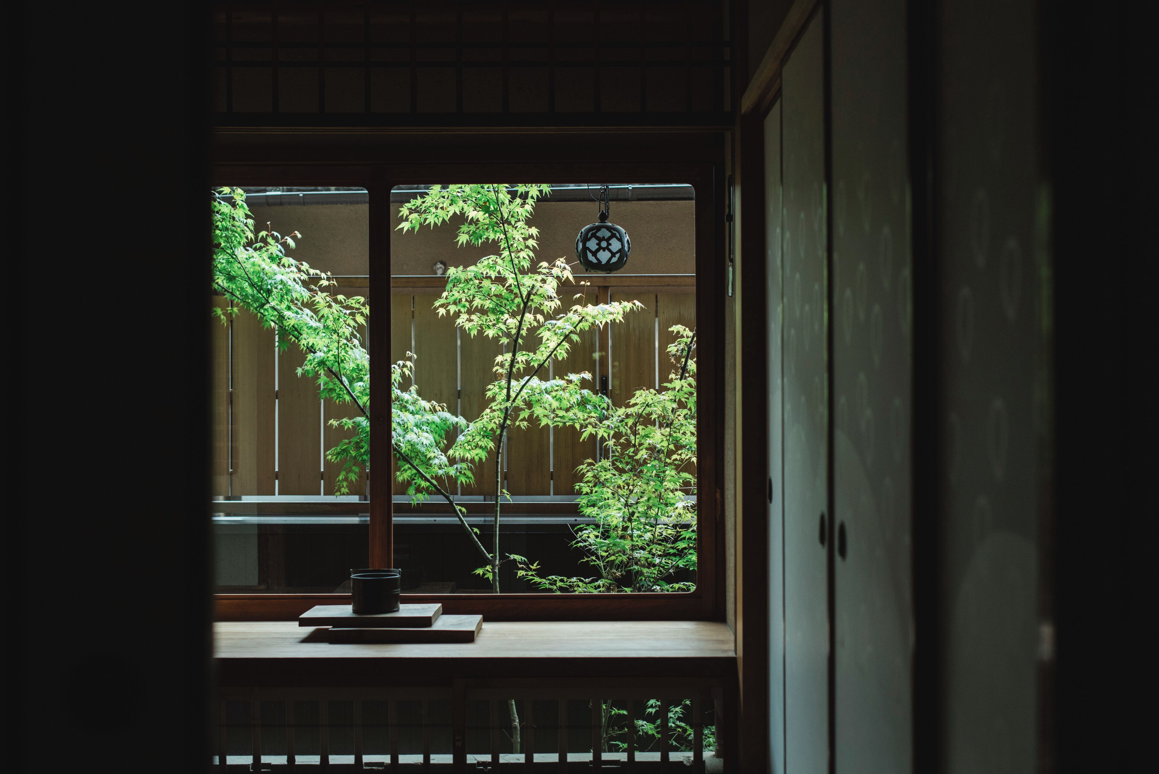 Una habitación japonesa tradicional con suelo de tatami, un shoji y vistas a un jardín por la ventana.