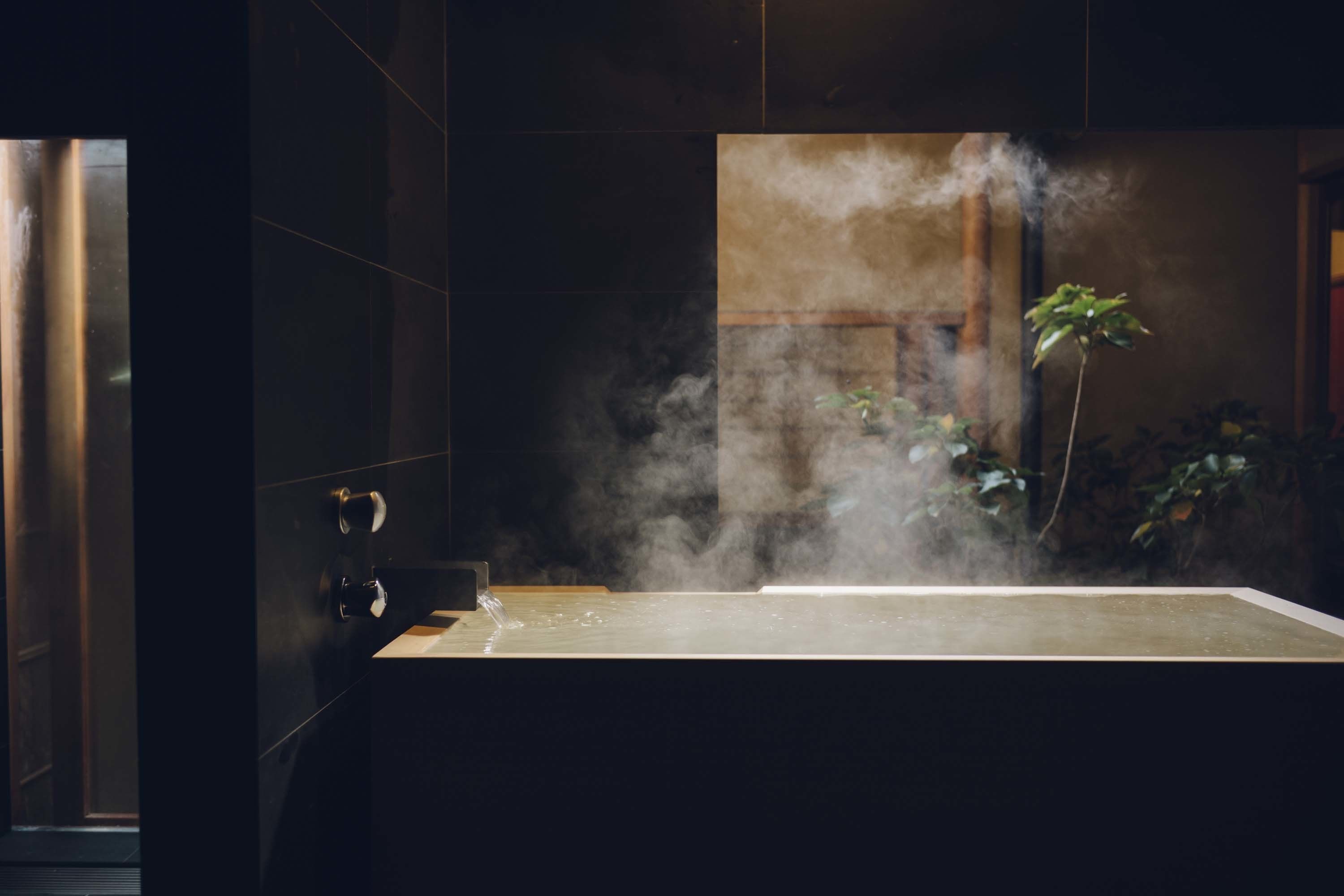 A steam room with a large bathtub, a wooden door, and a plant in the background.
