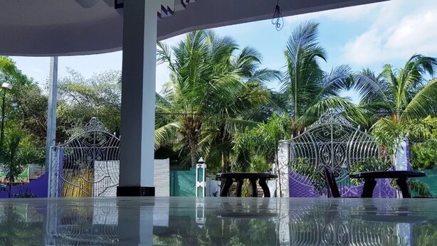 A pool area with a glass floor, surrounded by palm trees and a decorative metal fence. - SNP Star Guesthouse (Trincomalee)