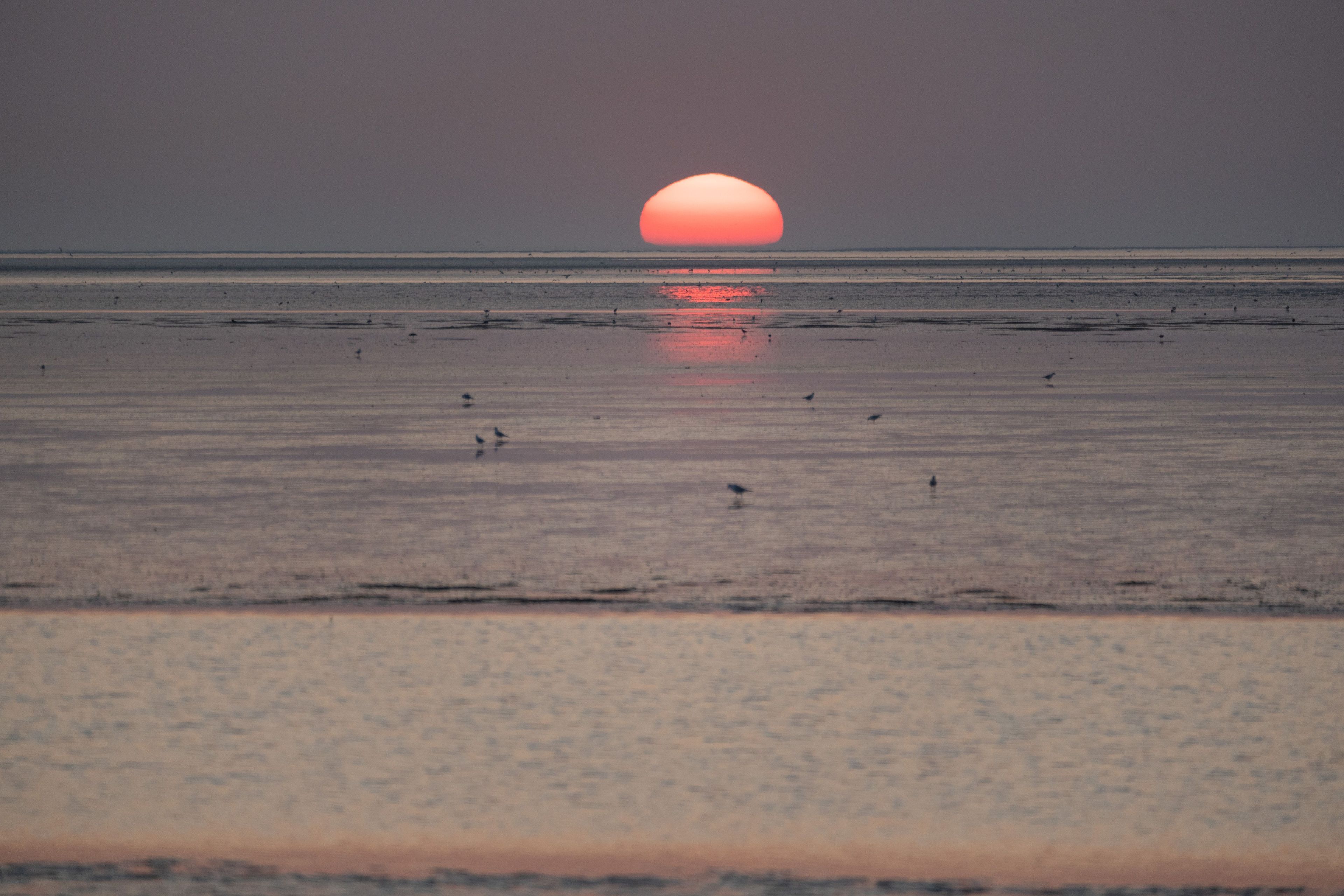 En strandscene med solnedgang over vandet.