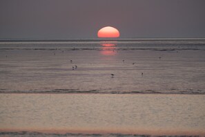 Eine Strandansicht mit Sonnenuntergang über dem Wasser.