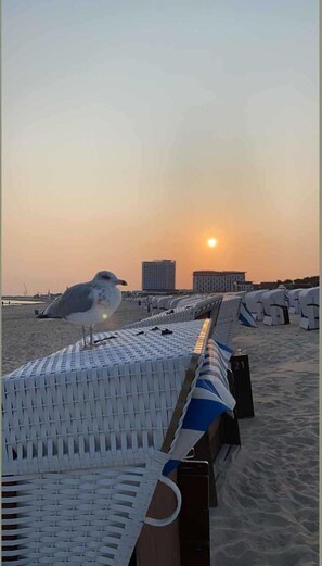 Image sans description, 2 de 24, bouton