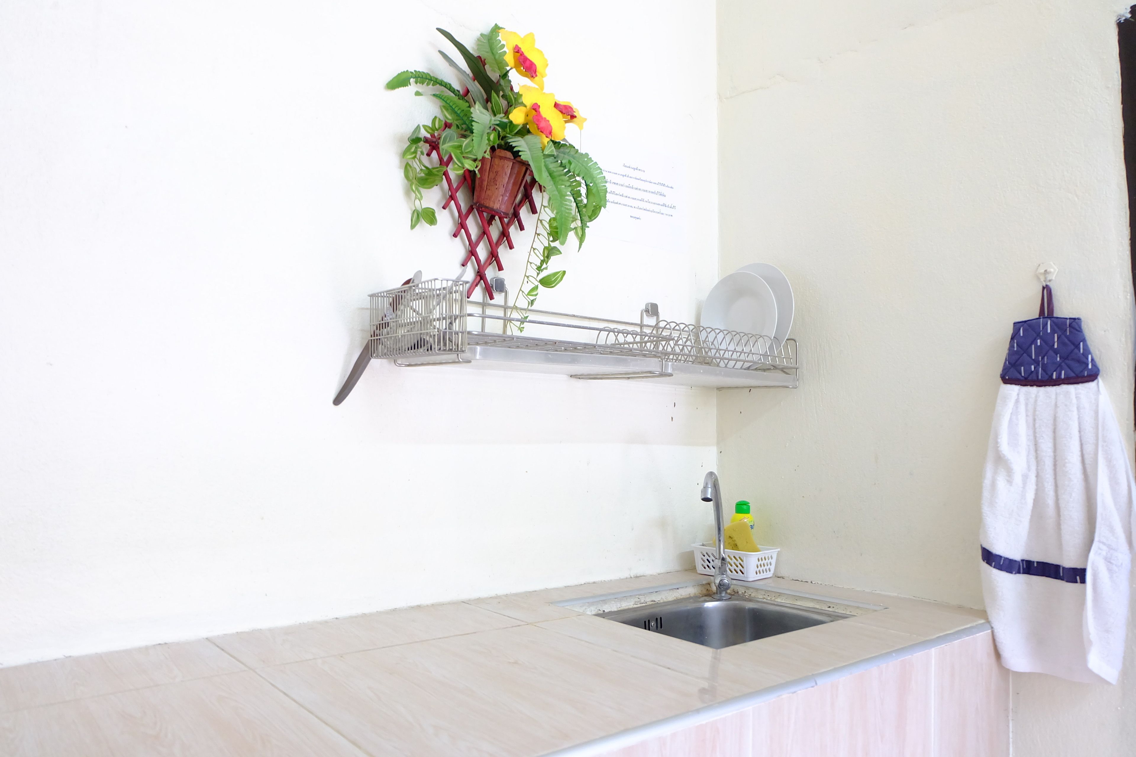 Een keuken met een spoelbak, een afdruiprek, een kamerplant en een handdoek aan de muur.