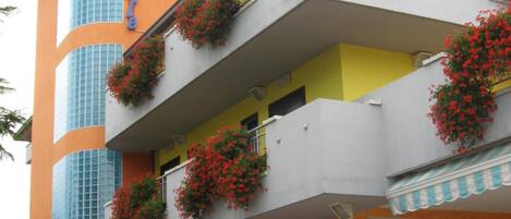 Un hotel con un letrero que dice 'Hotel Centro' y balcones adornados con flores rojas.