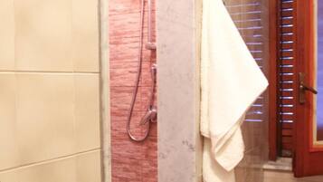 Shower, hair dryer, bathrobes, bidet