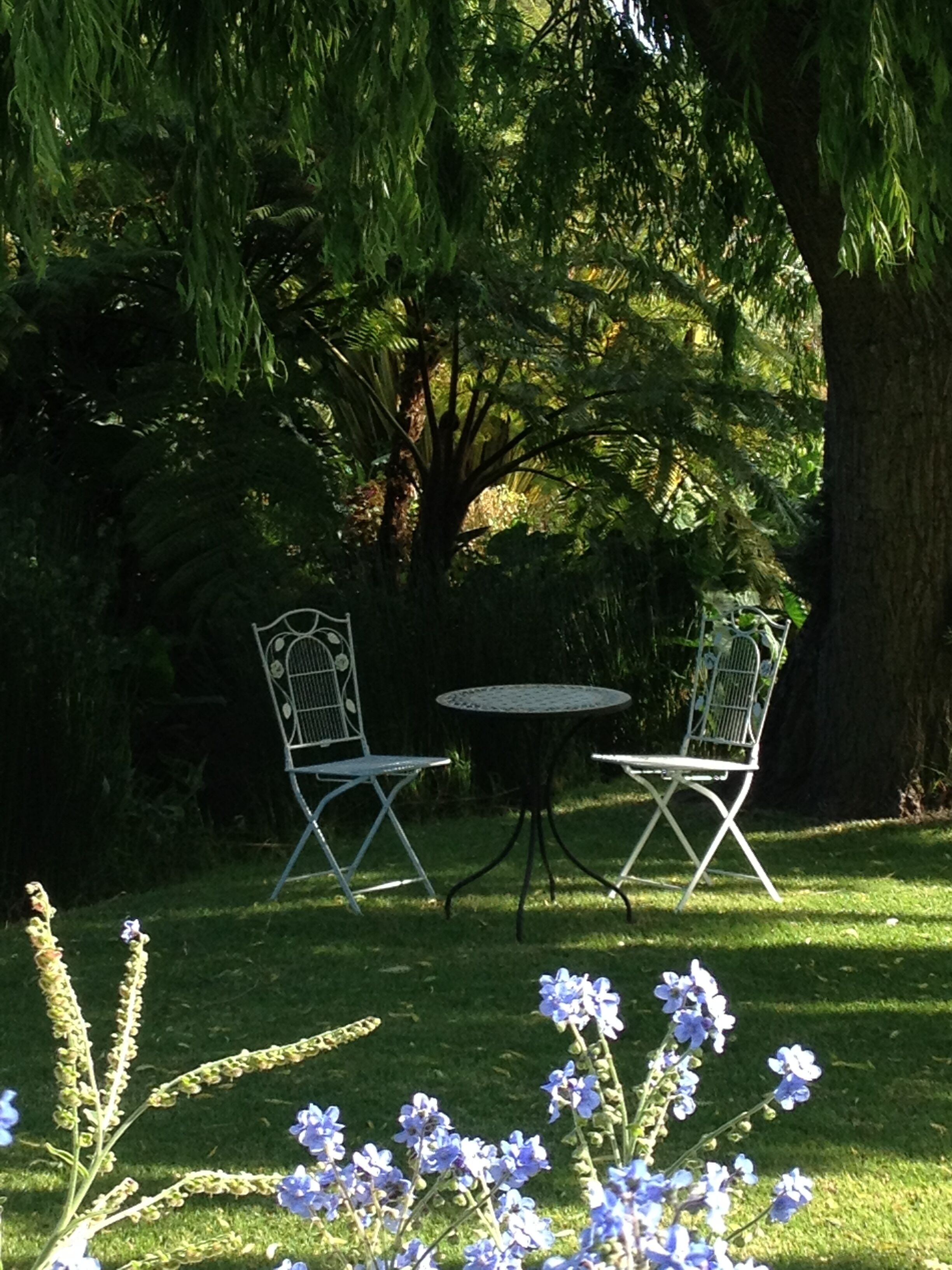Un jardín con dos sillas de metal y una mesa, rodeado de vegetación exuberante y plantas con flores.