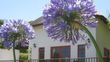 Willowtree Cottage | 1 bedroom, in-room safe, laptop workspace, blackout drapes