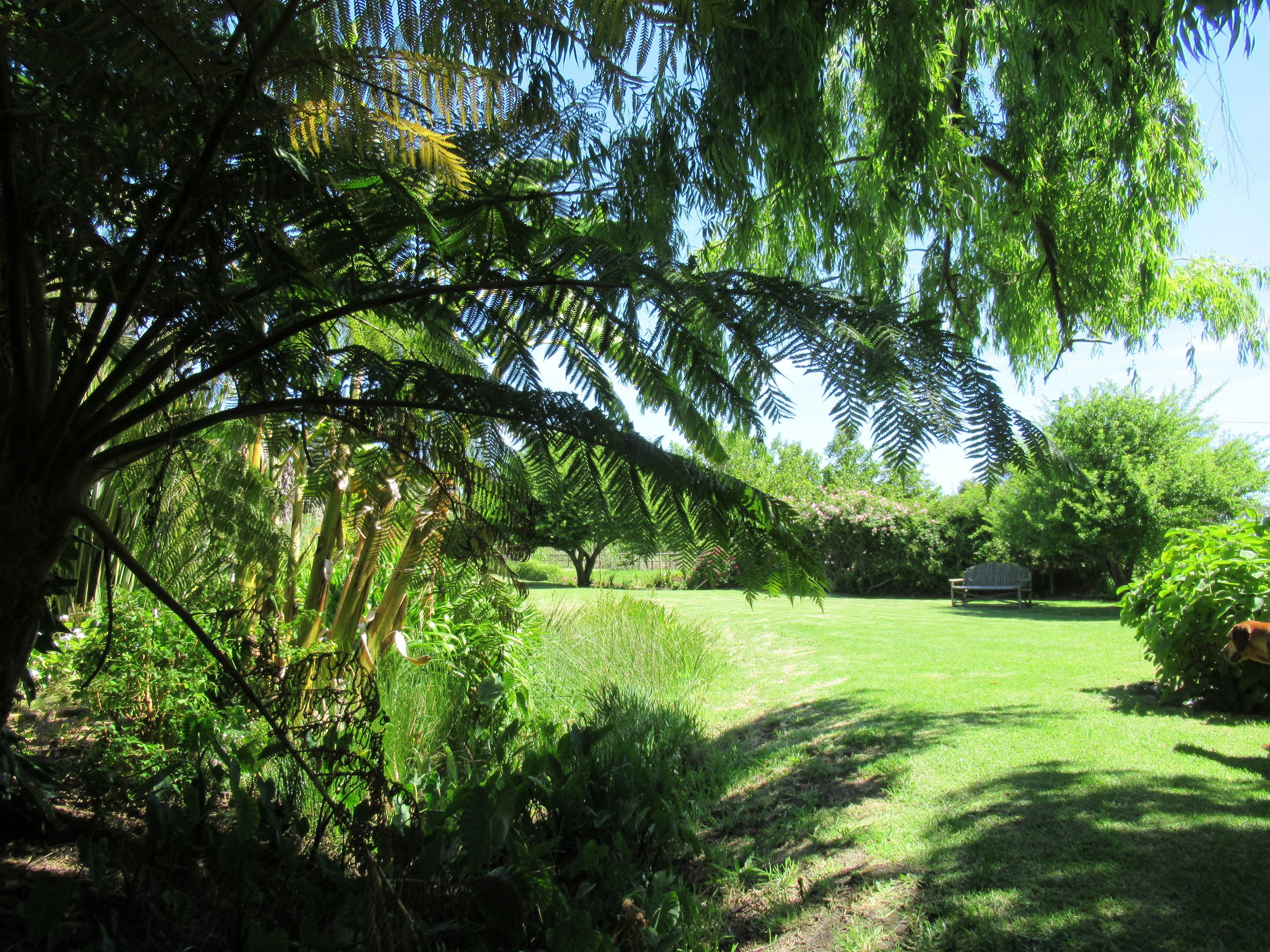 Taman