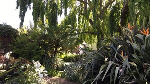 Un sendero en un jardín rodeado de diversas plantas y árboles.
