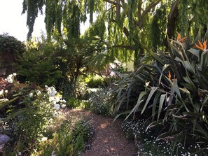 Jacaranda Suite | Private kitchenette | Full-size fridge, microwave, oven, stovetop - Acara Guest Cottages (Stellenbosch)