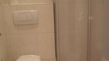 A bathroom with a toilet, a shower, and a toilet paper holder on the wall.