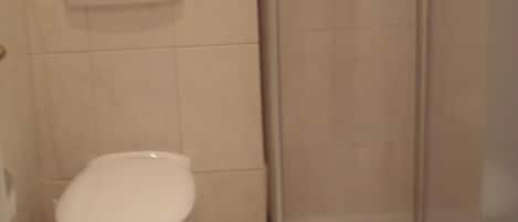 A bathroom with a toilet, a shower, and a toilet paper holder on the wall.