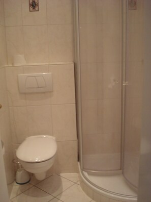 A bathroom with a toilet, a shower, and a toilet paper holder on the wall. - Eifel Hotel Lamberty (Landscheid)