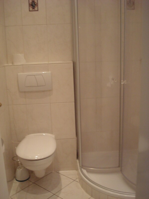 A bathroom with a toilet, a shower, and a toilet paper holder on the wall. - Eifel Hotel Lamberty (Landscheid)