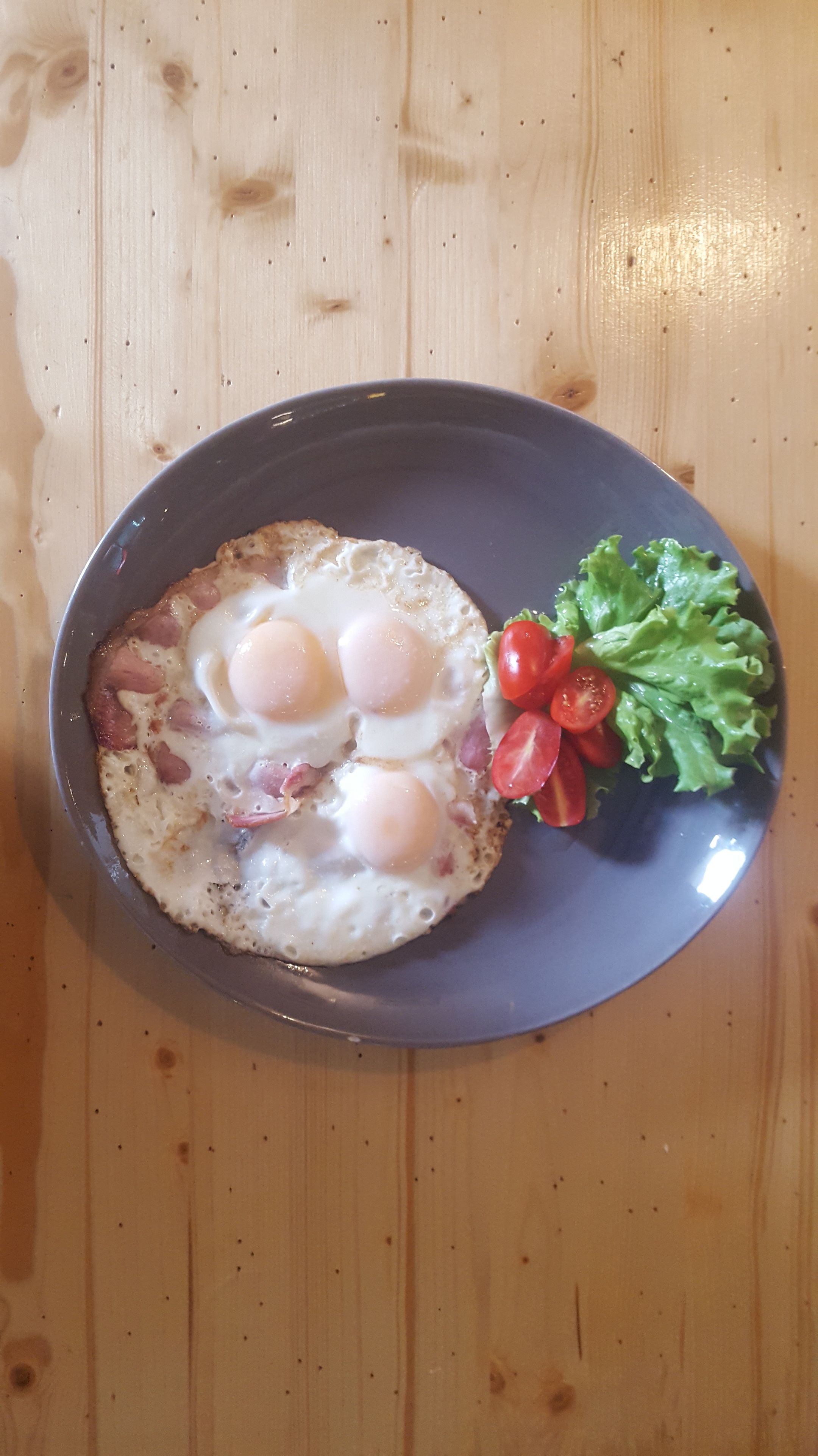 Photo - Guest House Park Žibert