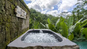 Premier Pool Villa - with Heated Pool | View from room